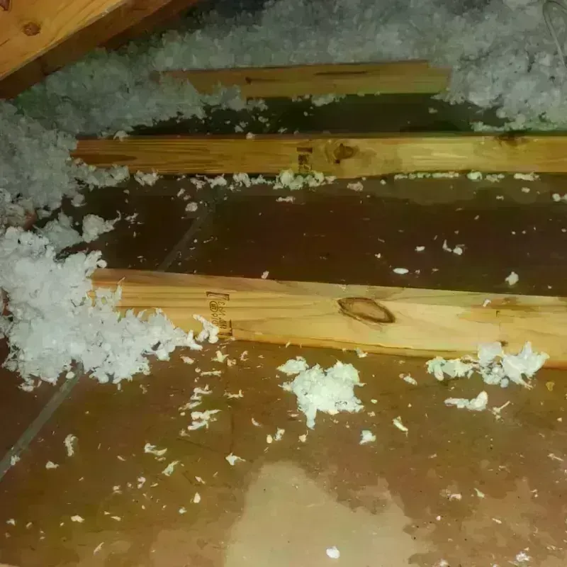 Attic Water Damage in Orange County, VT